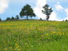 Kaltern-2008-05_127