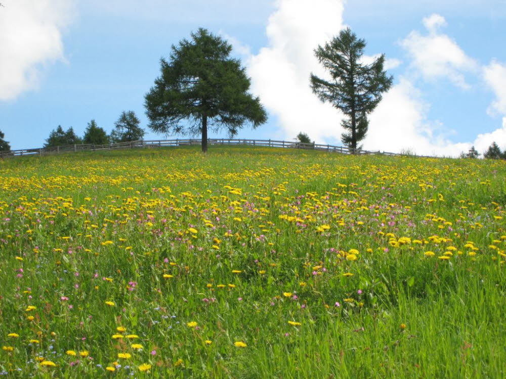 Kaltern-2008-05_127