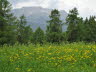 Kaltern-2008-05_142