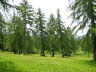 Kaltern-2008-05_151