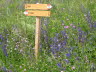 Kaltern-2008-05_155