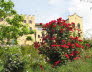Kaltern-2008-05_176
