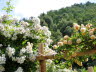 Kaltern-2008-05_178