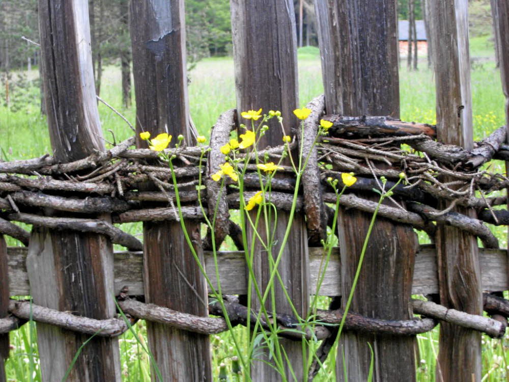 Kaltern-2008-05_223