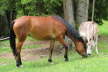 Kaltern06_2007-008