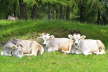 Kaltern06_2007-017