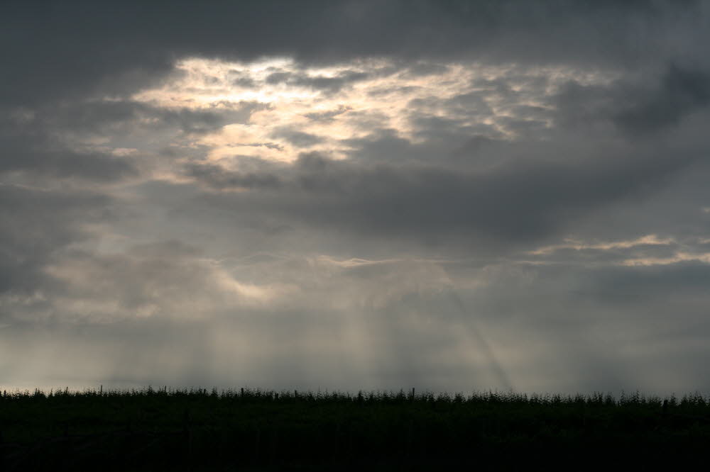 Kaltern06_2007-034