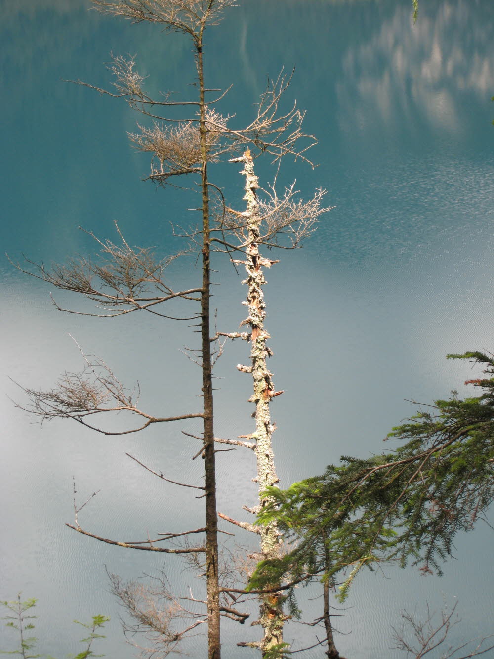 Kaltern06_2007-106