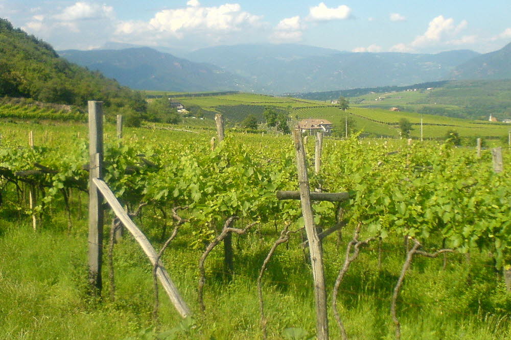 Kaltern06_2007-126