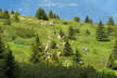 Kaltern06_2007-148