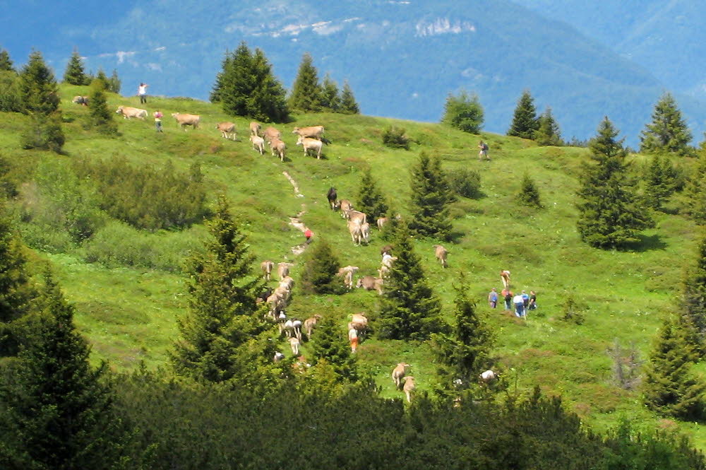 Kaltern06_2007-148