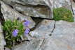 Kaltern06_2007-240