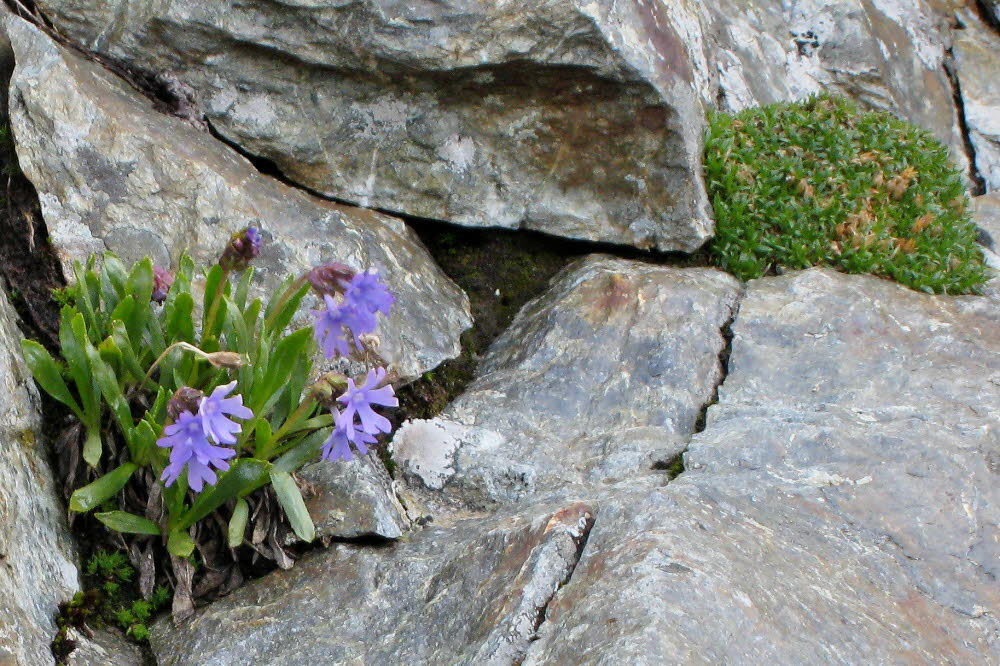 Kaltern06_2007-240