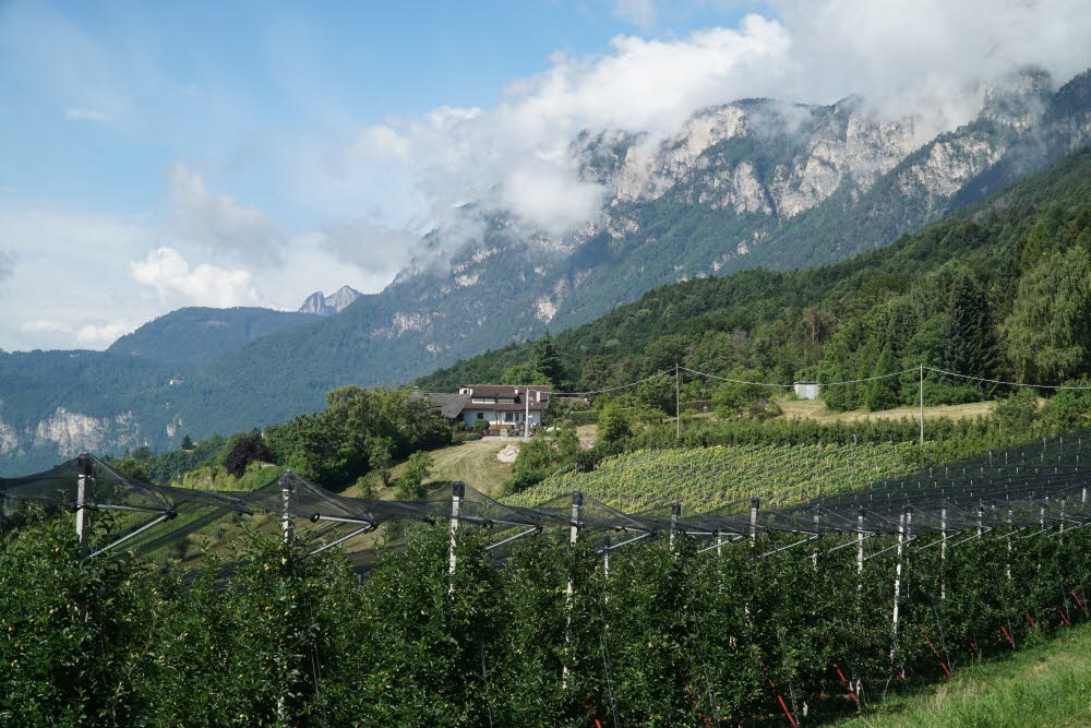 Kurtatsch_201806-003