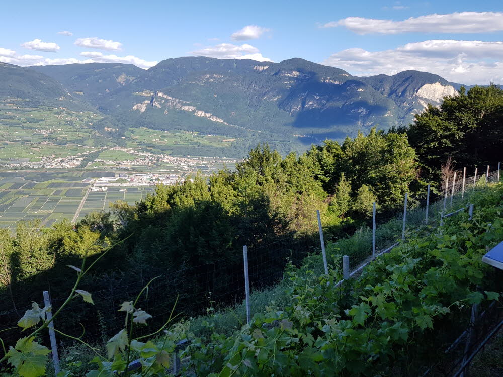 Kurtatsch_201806-034