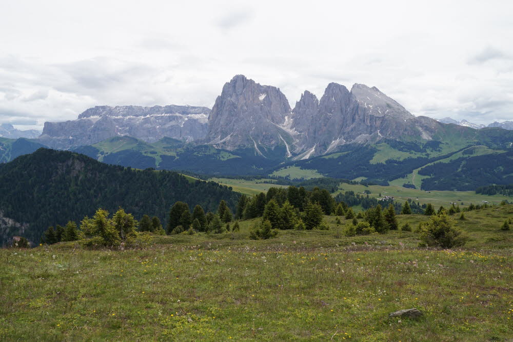 Kurtatsch_201806-078