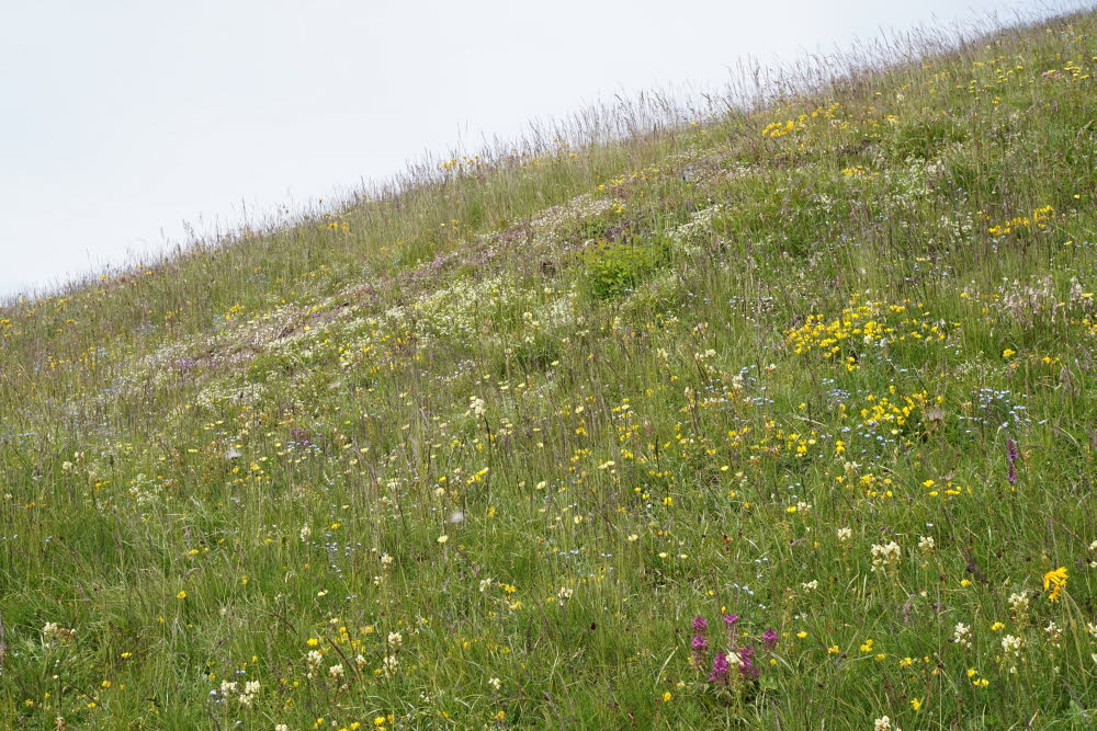 Kurtatsch_201806-085