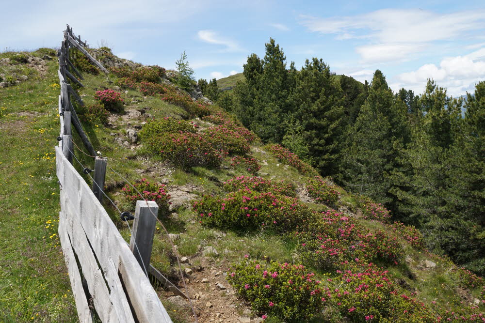 Kurtatsch_201806-091