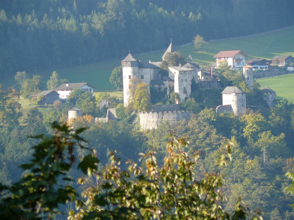P1000388