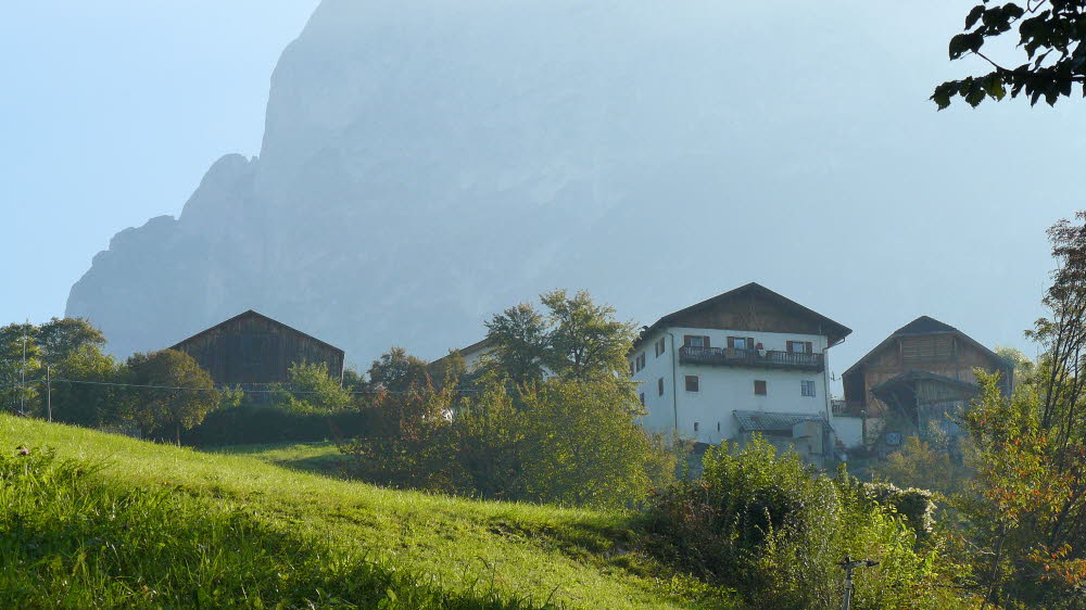 P1000394