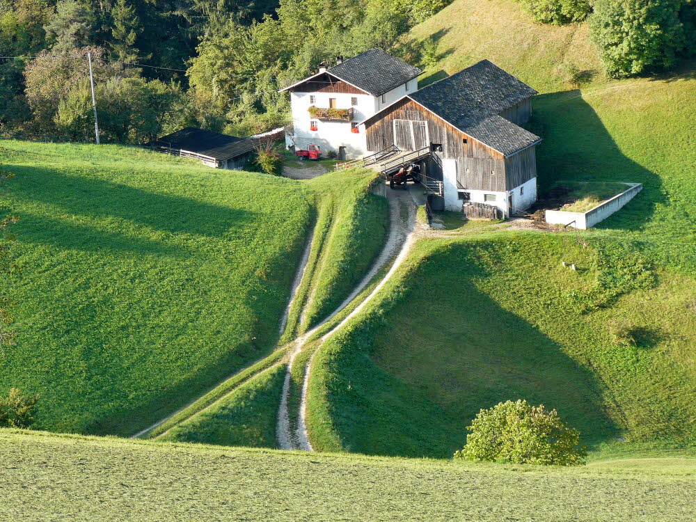 P1000398
