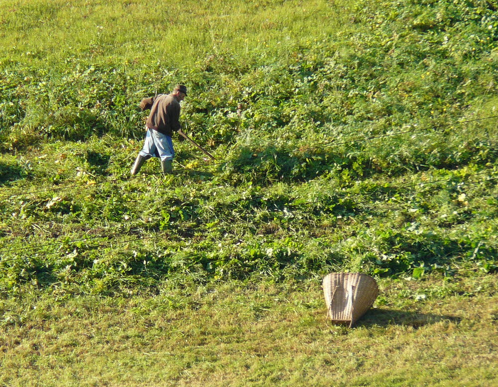 P1000406