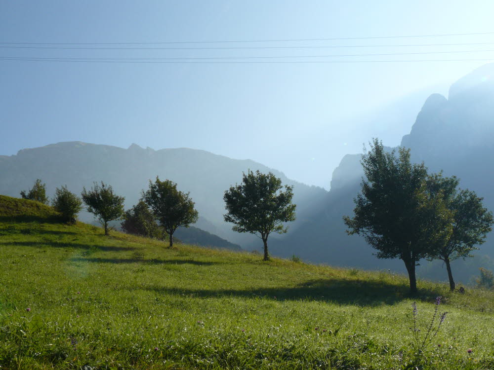 P1000409