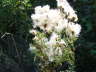 P1000425
