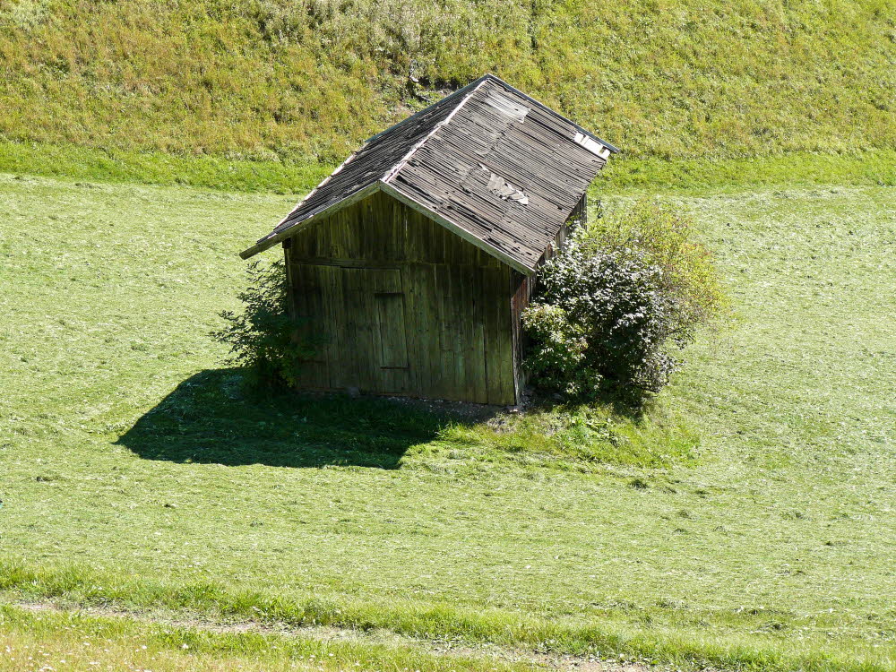P1000439