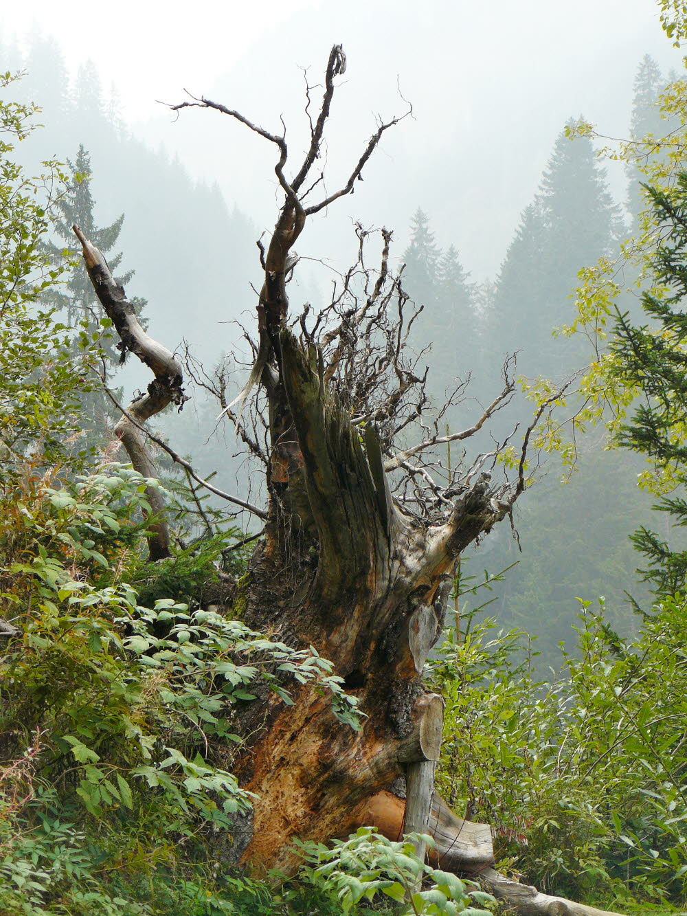 P1000467