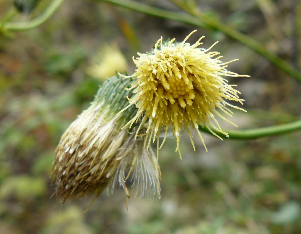P1000468