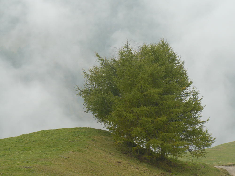 P1000480