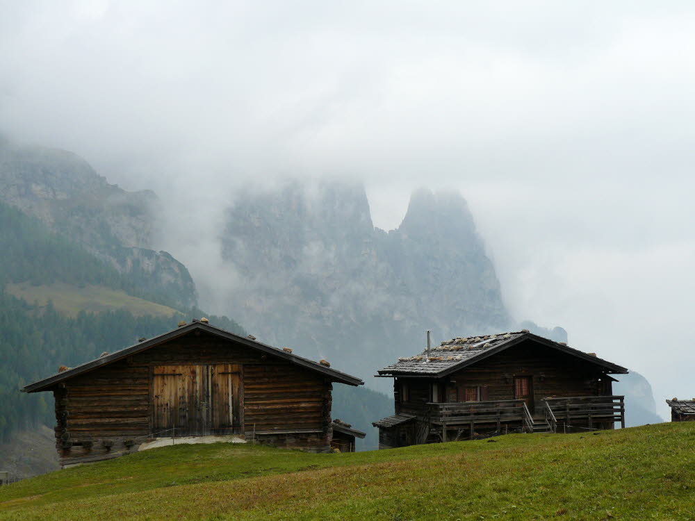 P1000492