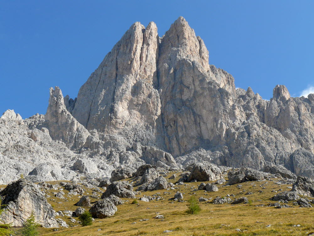 P1000554
