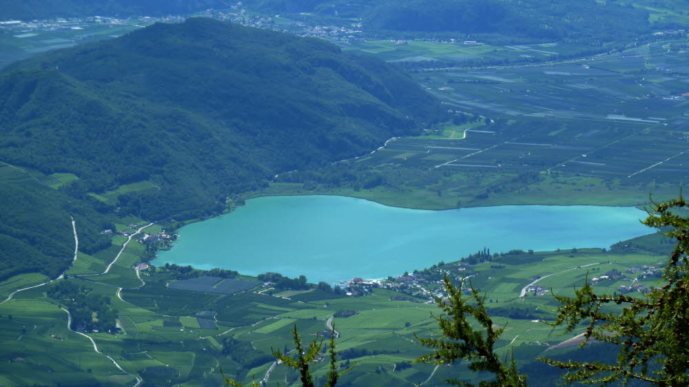 P1000556