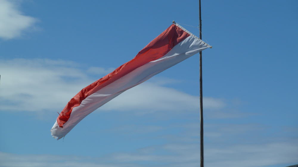 P1000584
