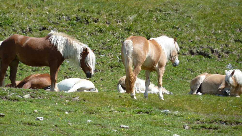P1000586
