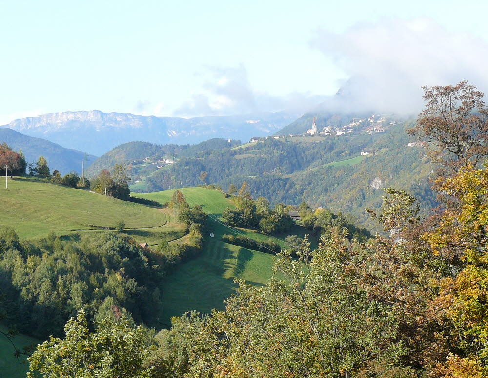 P1000630