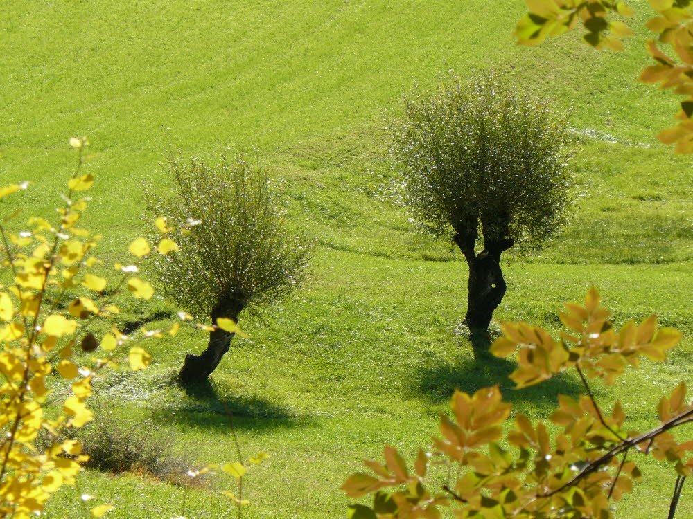 P1000637