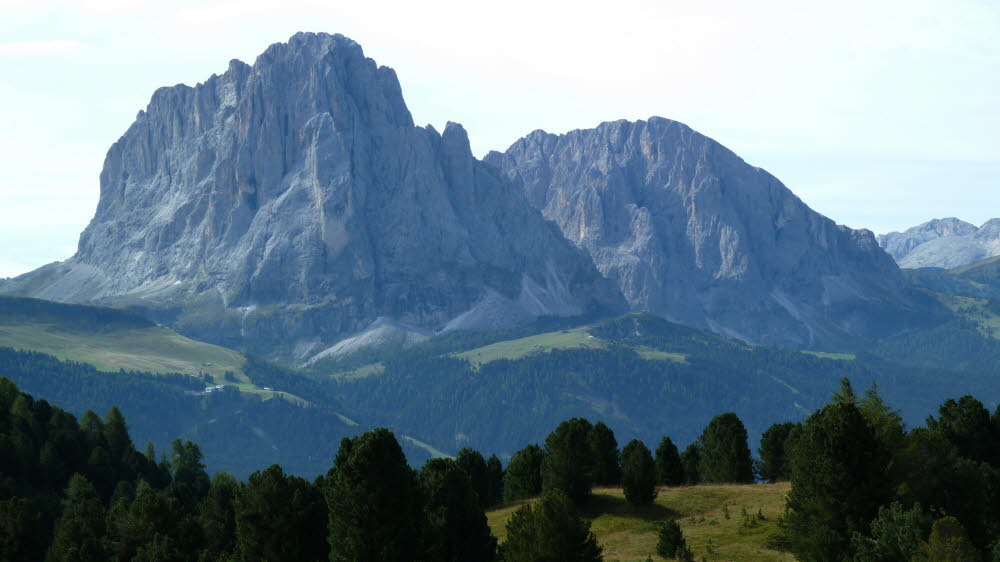 P1000658