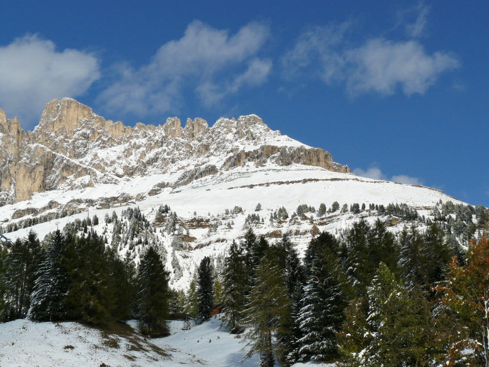 P1000664