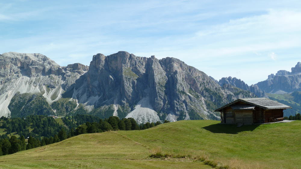P1000682