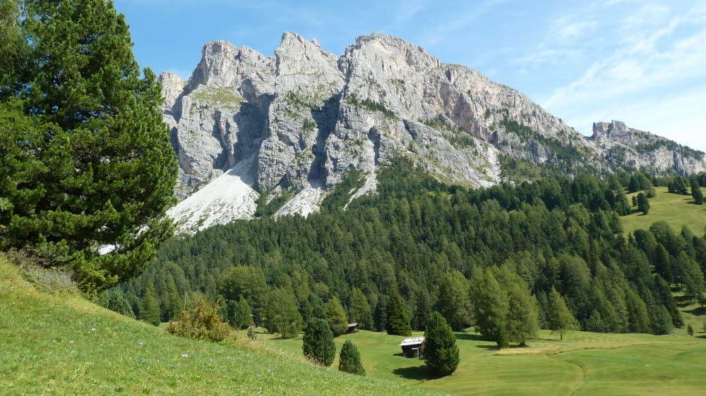 P1000694