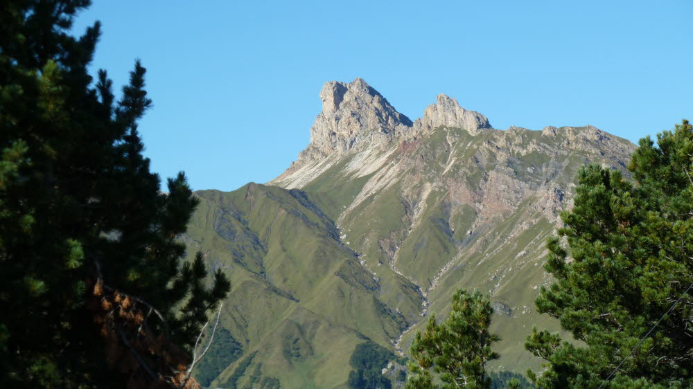 P1000707