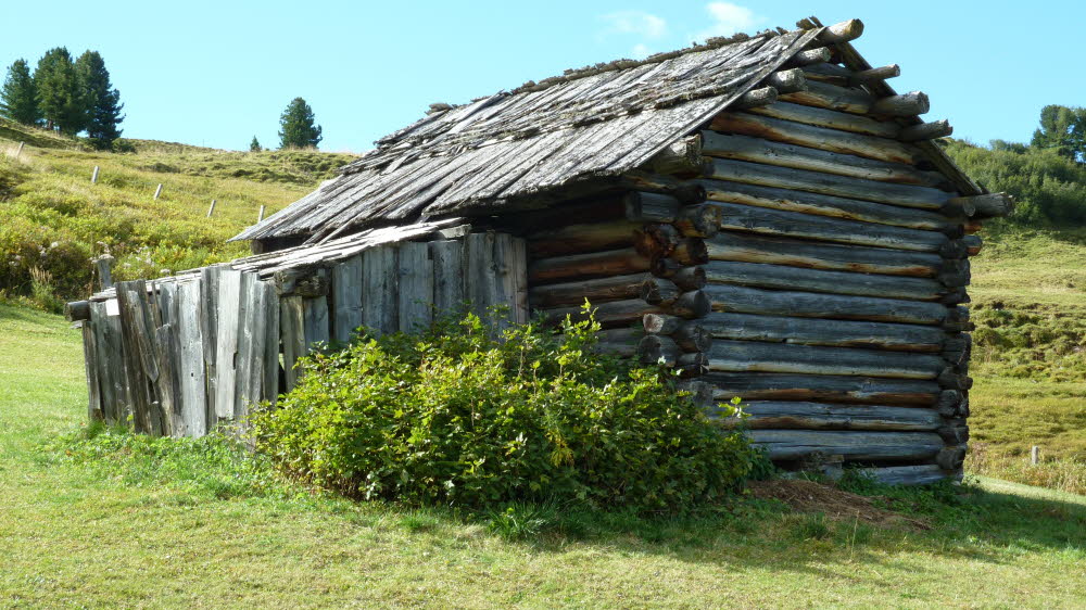 P1000716