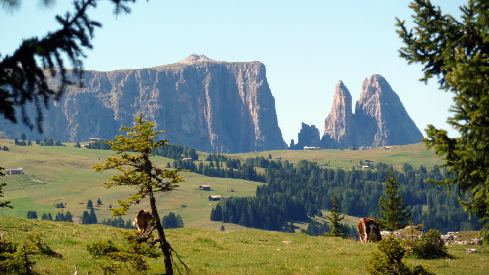 P1000744