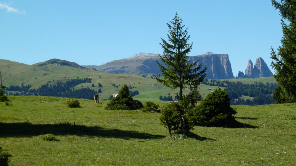 P1000745