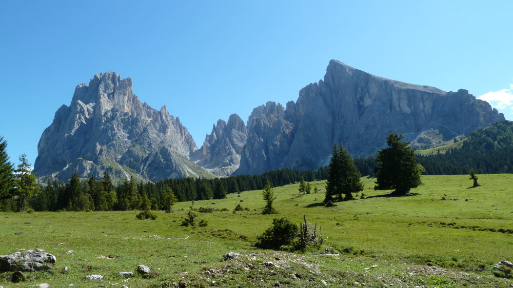 P1000751