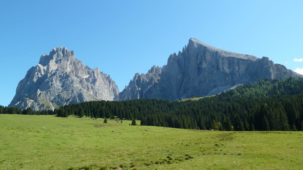 P1000754