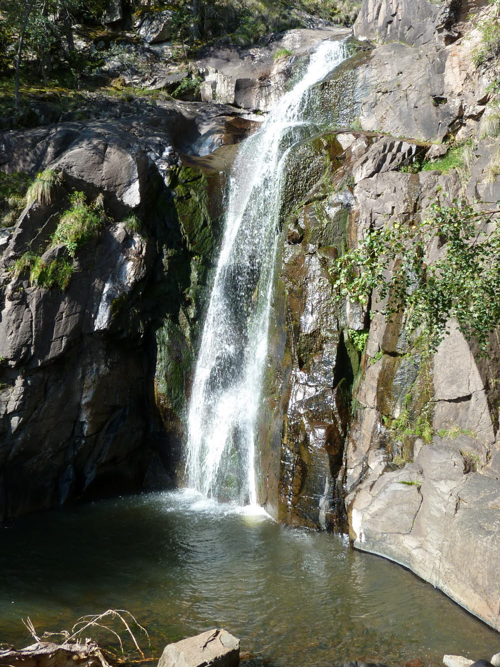 P1000764